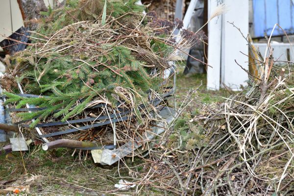 Cost of Yard Debris Removal in Paso Robles