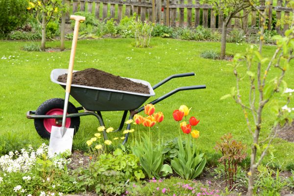 Cost of Spring Yard Cleanup in Paso Robles