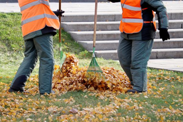 Cost of Leaf Hauling Service in Paso Robles
