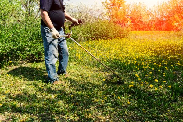 Cost of Yard Clearing Service in Paso Robles