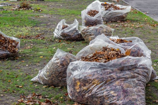 Cost of Leaf Pile Disposal in Paso Robles