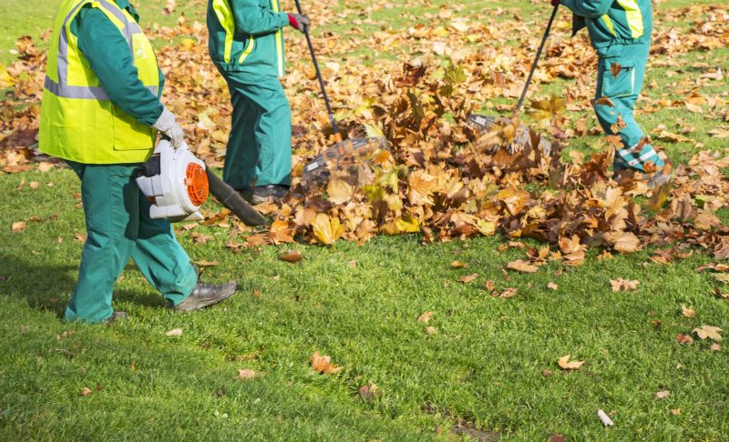 Leaf Blowing for Yard Cleanup