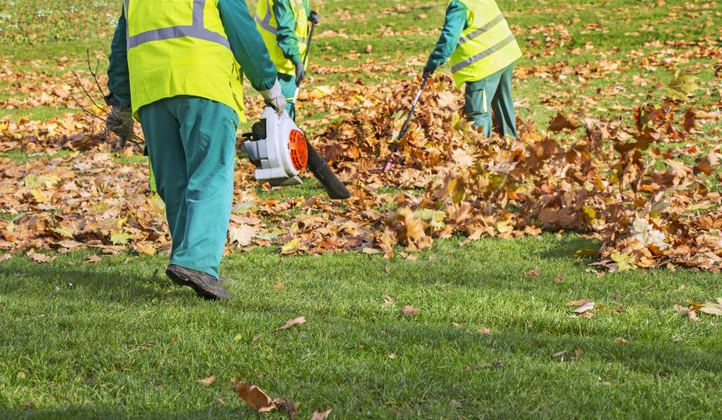 Leaf Removal in Fall
