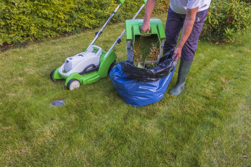 Fall Lawn Clean Up