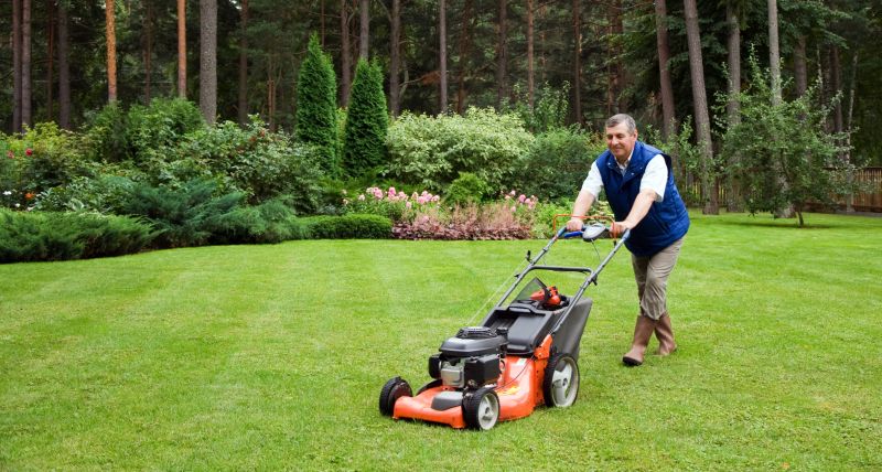 Seasonal Lawn Maintenance