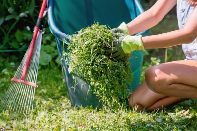Lawn Care Companies